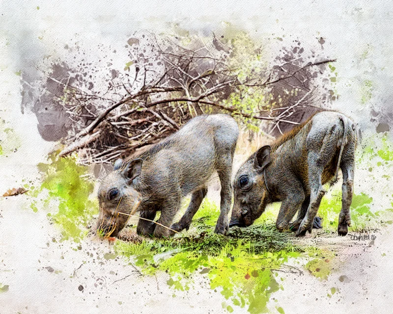 A Pair of Young Warthogs, South Africa