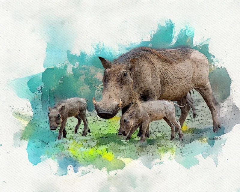 Warthog Family, South Africa